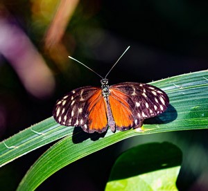 ambiente-360-biodiversita-a-360