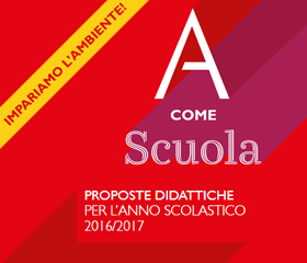 maca_proposte